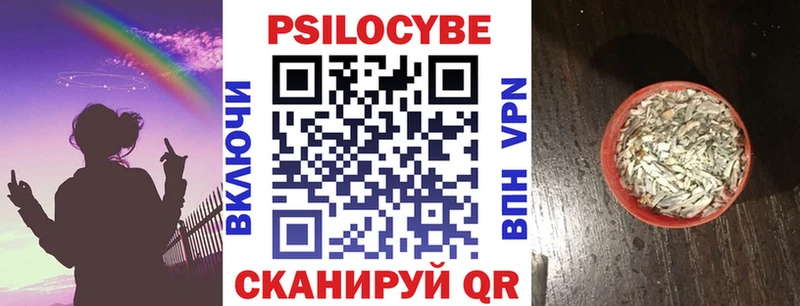 Псилоцибиновые грибы GOLDEN TEACHER  Кузнецк 