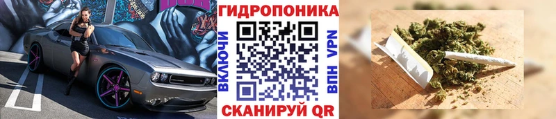 Шишки марихуана SATIVA & INDICA Кузнецк