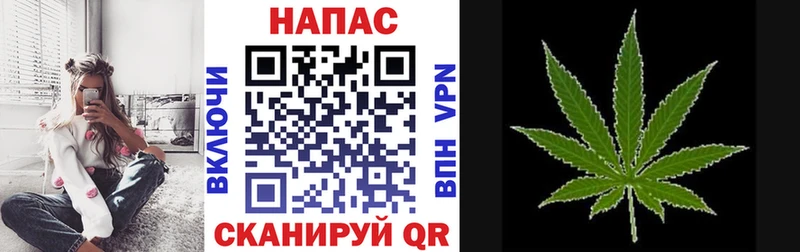 сколько стоит  Кузнецк  Бошки Шишки THC 21% 